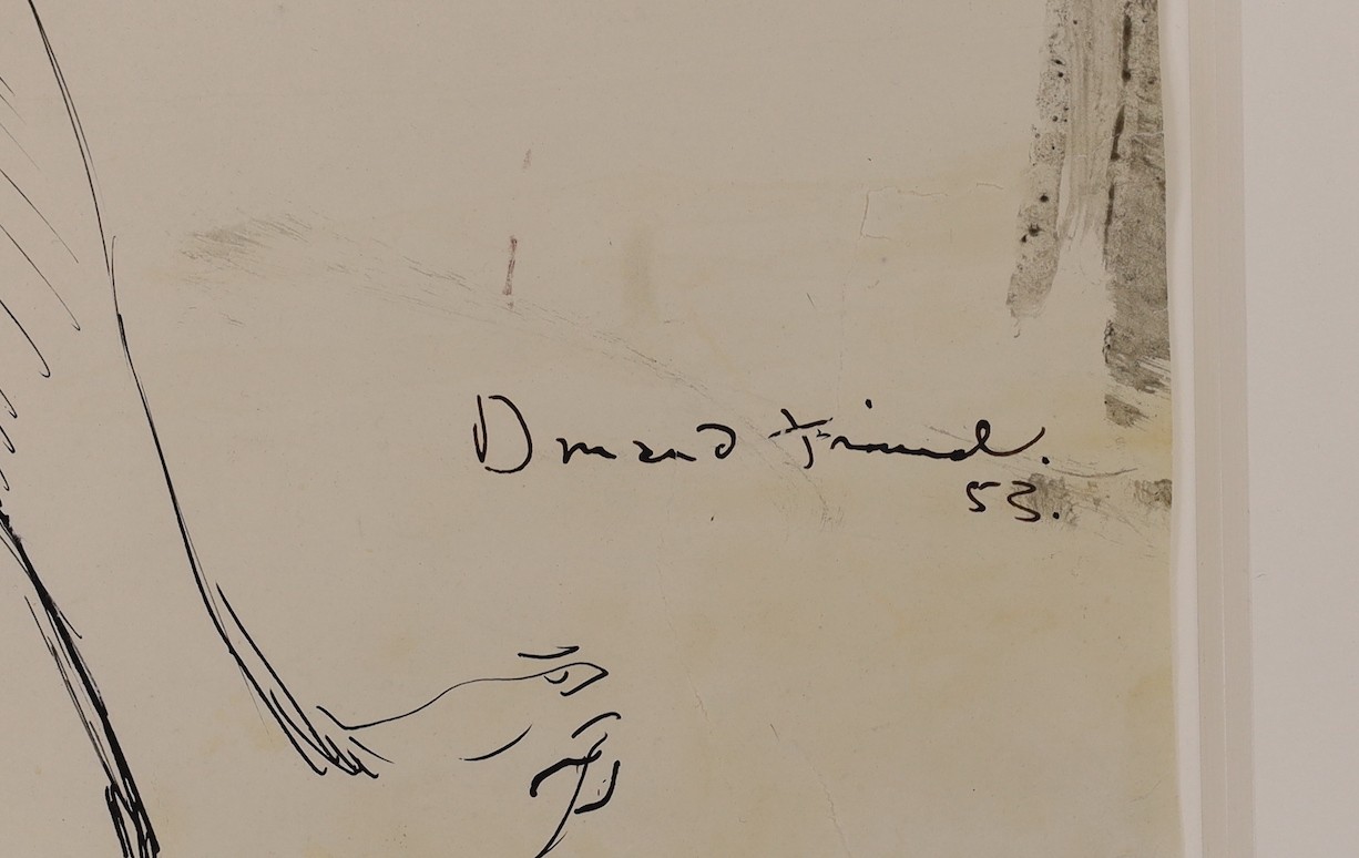 Donald Friend (Australian, 1917-1989), ink and wash, Study of Omu 1953, signed and dated '53, Bridget McDonnel Gallery label verso, 55 x 40cm